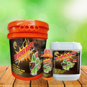 HS SUPER ROOTS