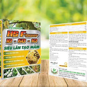 tạo mầm hóa; phân hóa mầm hoa; già lá; kích mầm; mầm ngủ