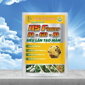 tạo mầm hóa; phân hóa mầm hoa; già lá; kích mầm; mầm ngủ