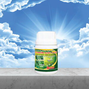 HS THẤM SÂU 3 GIÂY