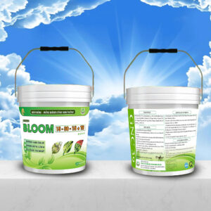 phân-bón-kích-bông-chống-đen-mắc-cua