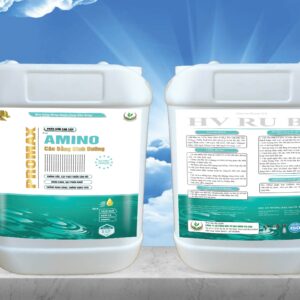 Amino Promax, Phân bón cân bằng dinh dưỡng, Thuốc chống rụng trái non sầu riêng, Phân bón đạm cá amino acid, Cách làm bông sáng hạt phấn khỏe, Phân bón HV RU BI, Thuốc trị vàng lá xoăn lá sầu riêng, Phân bón giúp trái lớn nhanh nặng ký, Kỹ thuật phục hồi cây sau thu hoạch, Phân bón lá dịch trùn quế, Amino Promax Hóa Nông Sài Gòn, Phân bón lá NPK cân đối, Cách bón amino cho cây ăn trái, Thuốc trị thối trái sầu riêng, Phân bón lá cao cấp xô 5 lít