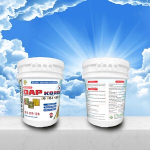 DAP Korea, Phân bón Win Gold 25, Phân bón kích rễ cực mạnh, Cách phục hồi sầu riêng sau thu hoạch, Phân bón lá nhập khẩu Hàn Quốc, Thuốc phục hồi cây suy yếu, Phân bón giúp xanh lá dày lá, Kỹ thuật chăm sóc rễ cây ăn trái, Phân bón DAP Korea xô 20kg, Phân bón dưỡng cây nuôi trái lớn nhanh, Giá phân bón Win Gold 25, Phân bón Hóa Nông Sài Gòn, Kích rễ sầu riêng con, Phân bón giúp đâm chồi nhanh, Phân bón hữu cơ khoáng cao cấp