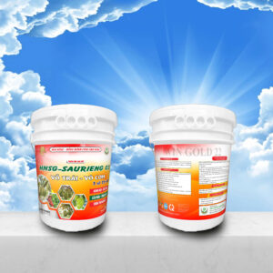 HNSG-SAURIENG 03, Vỗ trái sầu riêng, Vô cơm sầu riêng cực nhanh, Cách làm sầu riêng xanh gai dày cơm, Phân bón sầu riêng 3 số 22, Thuốc giúp sầu riêng lên màu ngọt cơm, Phân bón hữu cơ rong biển cho sầu riêng, Kỹ thuật vỗ trái sầu riêng nặng ký, Phân bón xô 20kg Hóa Nông Sài Gòn, Cách làm sầu riêng tròn trái chắc múi, Phân bón giúp hộc sầu riêng nở đều, Thuốc chống méo trái sầu riêng, Giá phân bón HNSG SAURIENG 03, Phân bón sầu riêng Win Gold 22, Phân bón sầu riêng giai đoạn cuối