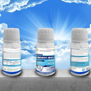 Thuốc trị chết nhanh hồ tiêu; Metalaxyl 250g/l; thuốc trị xì mủ sầu riêng; thuốc trị thối rễ; cách trị lở cổ rễ; thuốc đặc trị nấm Phytophthora; thuốc trị sương mai cà chua; thuốc nội hấp lưu dẫn mạnh; thuốc trị thối gốc; thuốc trừ bệnh vàng lá thối rễ
